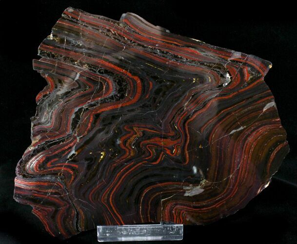 Banded Tiger Iron Stromatolite - Australia ( Billion Years) #22498